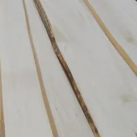00000015558